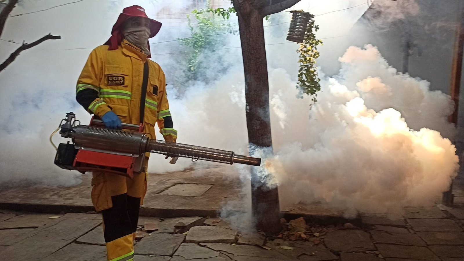 Alcaldía de Tarija declara alerta naranja por proliferación del