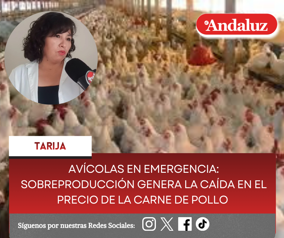 Avícolas en emergencia: Sobreproducción genera la caída en el precio de la carne de pollo