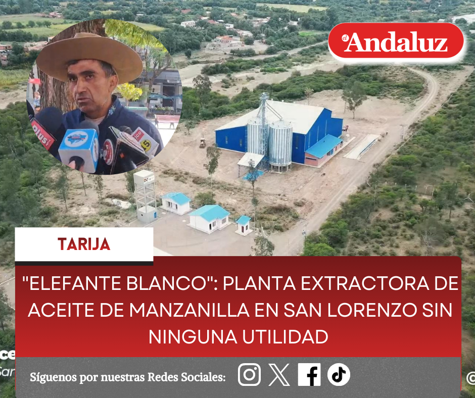 «Elefante Blanco»: Planta Extractora de Aceite de Manzanilla en San Lorenzo sin ninguna utilidad