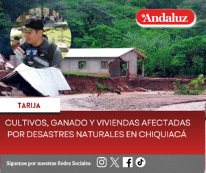 Cultivos, ganado y viviendas afectadas por desastres naturales en Chiquiacá