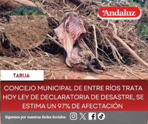 Concejo Municipal de Entre Ríos trata hoy Ley de Declaratoria de Desastre, se estima un 97% de afectación