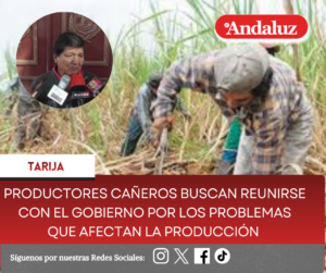 Productores cañeros buscan reunirse con el gobierno por los problemas que afectan la producción