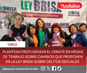 Plantean profundizar el debate en mesas de trabajo sobre cambios que proponen en la Ley Brisa sobre delitos sexuales