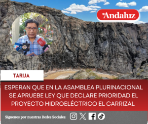 Esperan que en la Asamblea Plurinacional se apruebe Ley que declare prioridad el proyecto Hidroeléctrico El Carrizal