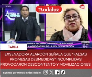 Exsenadora Alarcón señala que «falsas promesas desmedidas» incumplidas provocaron descontento y movilizaciones