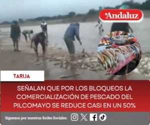 Señalan que por los bloqueos la comercialización de pescado del Pilcomayo se reduce casi en un 50%