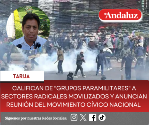 Califican de «grupos paramilitares» a sectores radicales movilizados y anuncian reunión del movimiento cívico nacional