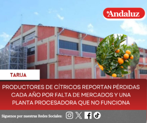 Productores de cítricos reportan pérdidas cada año por falta de mercados y una Planta Procesadora que no funciona