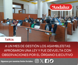 A un mes de gestión los asambleístas aprobaron una Ley y fue devuelta con observaciones por el órgano ejecutivo