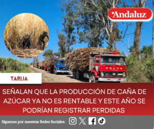 Señalan que la producción de caña de azúcar ya no es rentable y este año se podrían registrar pérdidas