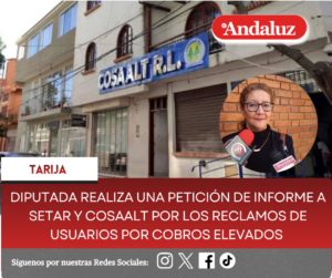 Diputada realiza una Petición de Informe a Setar y Cosaalt por los reclamos de usuarios por cobros elevados