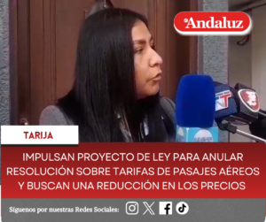 impulsan proyecto de Ley para anular resolución sobre tarifas de pasajes aéreos y buscan una reducción en los precios