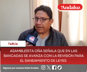 Asambleísta Oña señala que en las bancadas se avanza con la revisión para el saneamiento de Leyes