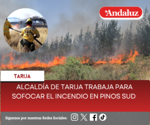 Alcaldía de Tarija trabaja para sofocar el incendio en Pinos Sud