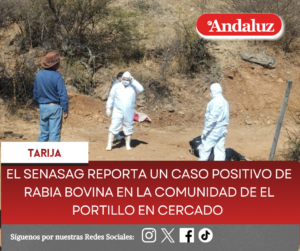 El Senasag reporta un caso positivo de rabia bovina en la comunidad de El Portillo en Cercado