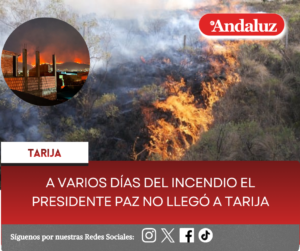 A varios días del incendio el presidente Paz no llegó a Tarija
