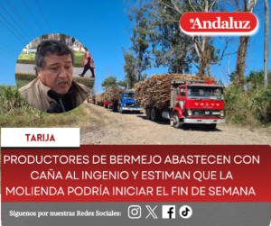 Productores de Bermejo abastecen con caña al ingenio y estiman que la molienda podría iniciar el fin de semana