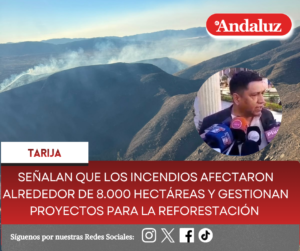 Señalan que los incendios afectaron alrededor de 8.000 hectáreas y gestionan proyectos para la reforestación