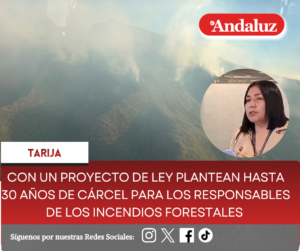 Con un proyecto de Ley plantean hasta 30 años de cárcel para los responsables de los incendios forestales