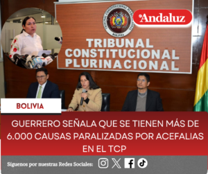 Guerrero señala que se tienen más de 6.000 causas paralizadas por acefalias en el TCP