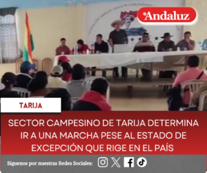Sector campesino de Tarija determina ir a una marcha pese al Estado de Excepción que rige en el país