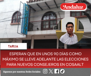 Esperan que en unos 90 días como máximo se lleve adelante las elecciones para nuevos consejeros en Cosaalt