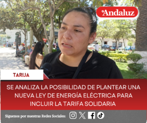 Se analiza la posibilidad de plantear una nueva Ley de energía eléctrica para incluir la tarifa solidaria