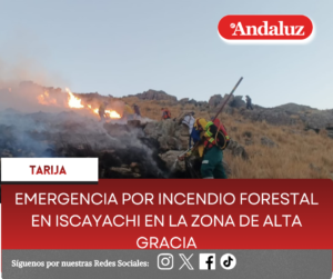 Emergencia por incendio forestal en Iscayachi en la zona de Alta Gracia