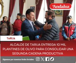 Alcalde de Tarija entrega 10 mil plantines de olivo para consolidar una segunda cadena productiva