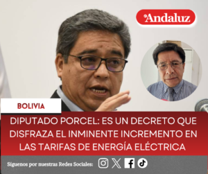 Diputado Porcel: Es un Decreto que disfraza el inminente incremento en las tarifas de energía eléctrica  