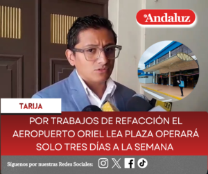 Por trabajos de refacción el aeropuerto Oriel Lea Plaza operará solo tres días a la semana  