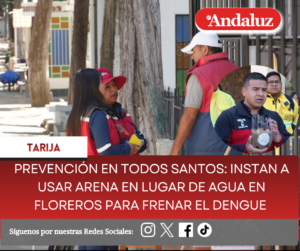 Prevención en Todos Santos: Instan a usar arena en lugar de agua en floreros para frenar el dengue