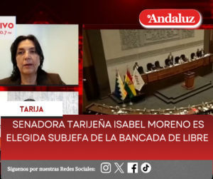Senadora tarijeña Isabel Moreno es elegida subjefa de la bancada de Libre
