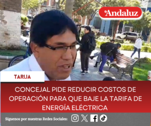 Concejal pide reducir costos de operación para que baje la tarifa de energía eléctrica  