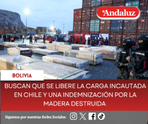 Buscan que se libere la carga incautada en Chile y una indemnización por la madera destruida  
