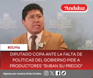 Diputado Copa ante la falta de políticas del gobierno pide a productores «suban su precio» 